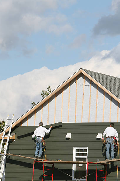 Affordable siding repair and maintenance services in Maury, NC