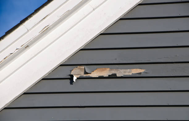 Best Insulated Siding Installation  in Maury, NC
